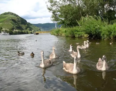 Naturlandschaft in der Nähe des Aparthotels