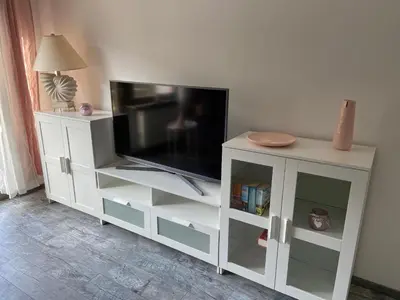 TV/Unterhaltungsangebot in der Unterkunft Haus Elsternest