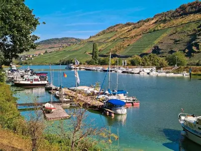 Naturlandschaft in der Nähe des Bootes