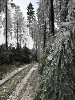 RechHof Urlaub bei Tieren im Winter