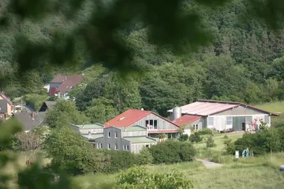 Naturlandschaft in der Nähe der Ferienwohnung