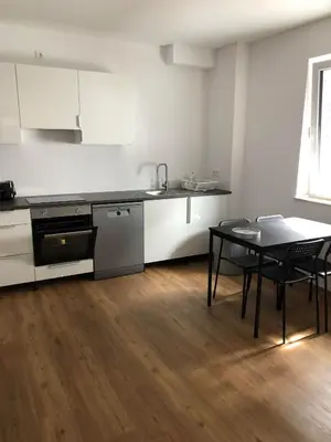 Küche/Küchenzeile in der Unterkunft ApartHotel Roxheim