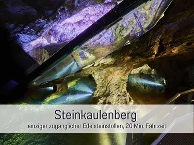 Grundriss der Unterkunft Natur-Chalet zum Nationalpark Franz inkl. E-Auto