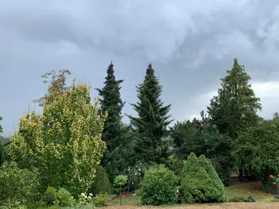 Ein Garten an der Unterkunft Grüne Oase