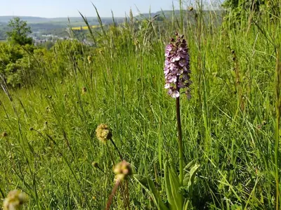 Naturlandschaft in der Nähe der Ferienwohnung