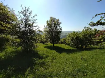 Naturlandschaft in der Nähe der Ferienwohnung
