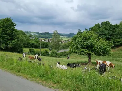 Naturlandschaft in der Nähe der Pension