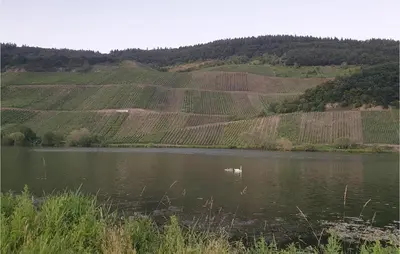 Naturlandschaft in der Nähe der Ferienwohnung