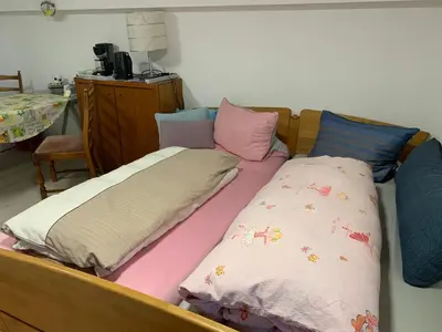 Ein Bett oder Betten in einem Zimmer der Unterkunft Doppelzimmer mit neuem Bad und Sportpool-Nutzung außen, Villa Naturpark, Garten mit Rheinblick
