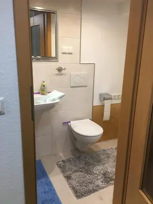 Ein Badezimmer in der Unterkunft Doppelzimmer mit neuem Bad und Sportpool-Nutzung außen, Villa Naturpark, Garten mit Rheinblick