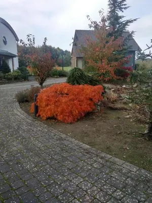 Ein Garten an der Unterkunft Das gelbe Landhaus