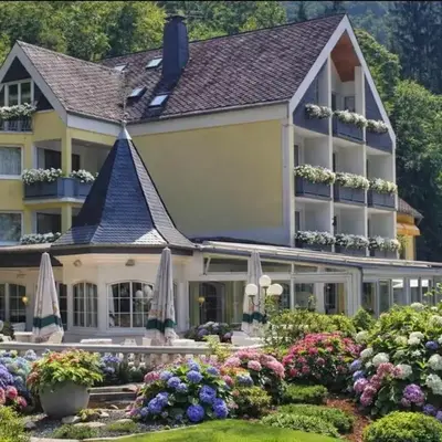 Hotel Schwanenweiher Bad Bertrich