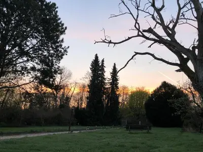 Ein Garten an der Unterkunft Ferienwohnung Apartment Doppelzimmer in der Villa Naturpark Rheinblick, ruhig, Aussicht, Pool