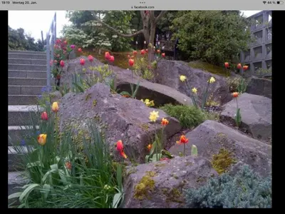 Ein Garten an der Unterkunft Doppelzimmer mit Terrasse zum Garten, ruhig, Weinbergsblick, zusätzliches Kinderzimmer anbei möglich