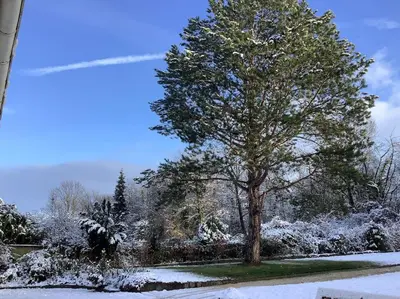Über den Dächern von Koblenz - Aussichts-Wohnung Naturpark Rheinblick, ruhig, zentrumsnah, Sport-Pool im Winter