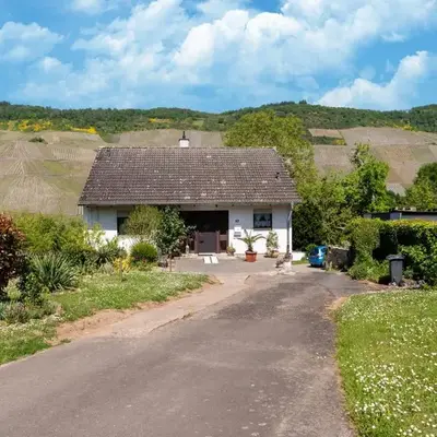 Moselle Vineyard Escape