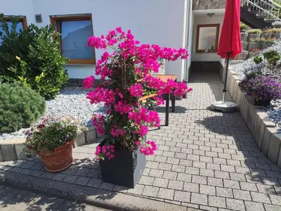 Ein Garten an der Unterkunft Ferienwohnung Moselzeit