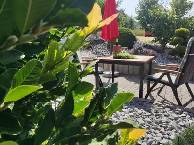 Ein Garten an der Unterkunft Ferienwohnung Moselzeit