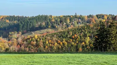 Naturlandschaft in der Nähe des Chalets