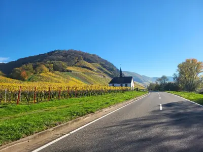 Naturlandschaft in der Nähe des Ferienhauses