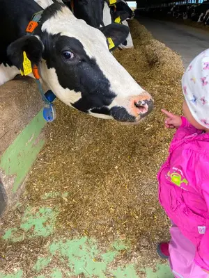 Tiere in der Ferienwohnung oder in der Nähe
