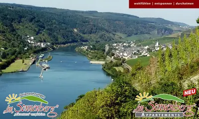 Naturlandschaft in der Nähe der Ferienwohnung