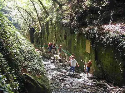 Naturlandschaft in der Nähe der Ferienwohnung