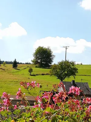 Ein Garten an der Unterkunft Am Lindenbaum, Ferienwohnung in Siebenbach am Nürburgring