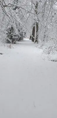 Alter Werkstatt im Winter