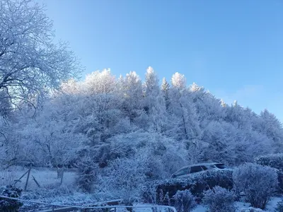 Haus Im Wald im Winter