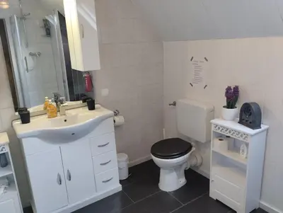 Ein Badezimmer in der Unterkunft Ferienwohnung Am Vulkanpfad