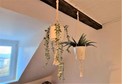 Grundriss der Unterkunft liebenswertes Apartment 10 Minuten zur Altstadt