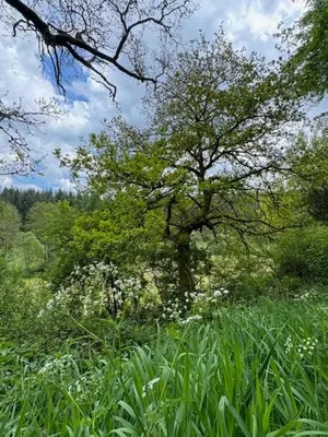 Naturlandschaft in der Nähe des Ferienhauses