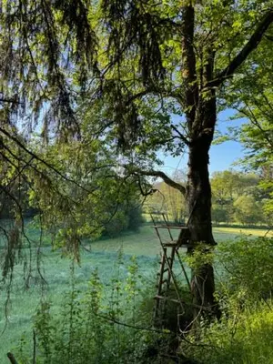 Naturlandschaft in der Nähe des Ferienhauses