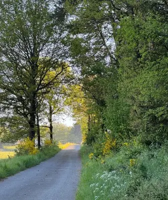 Naturlandschaft in der Nähe des Ferienhauses