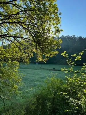 Naturlandschaft in der Nähe des Ferienhauses