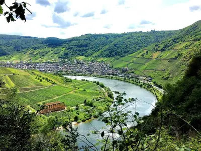 Naturlandschaft in der Nähe des Ferienhauses