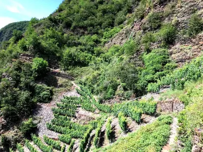 Naturlandschaft in der Nähe des Ferienhauses
