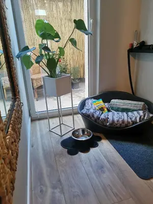Grundriss der Unterkunft Ferienhaus zur Weinfee