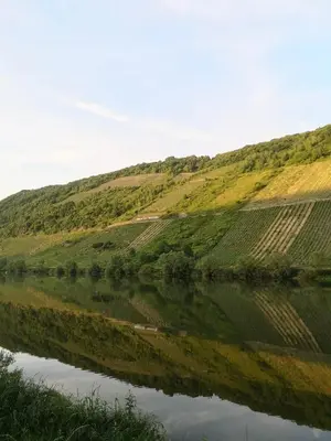 Naturlandschaft in der Nähe des Ferienhauses