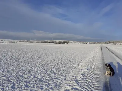 Ferienbauernhof Neumühle im Winter