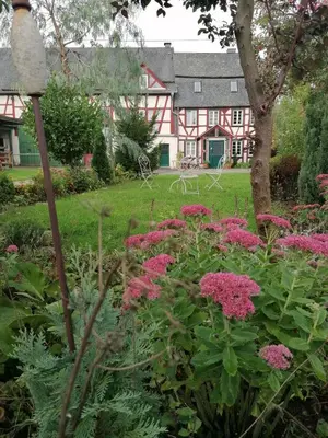 Ein Garten an der Unterkunft Hof Idarwald