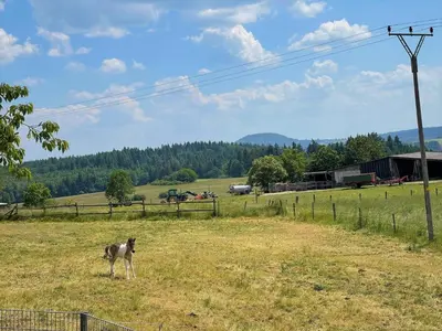 Naturlandschaft in der Nähe der Ferienwohnung