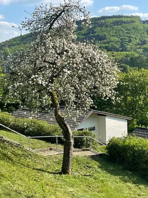 Naturlandschaft in der Nähe des Ferienhauses