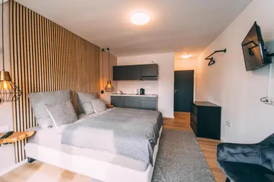 TV/Unterhaltungsangebot in der Unterkunft Premium Apartments Koblenz