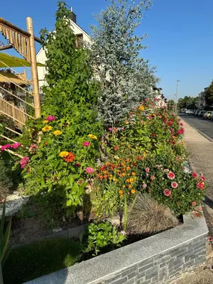 Ein Garten an der Unterkunft Diamanthaus deluxe 7 Koblenz