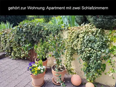 Ein Garten an der Unterkunft Ferienwohnungen Evelyne