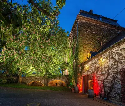 Ein Garten an der Unterkunft Ferienwohnung Sauvignon Blanc Weingut Zur Burg