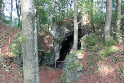 Naturlandschaft in der Nähe der Ferienwohnung