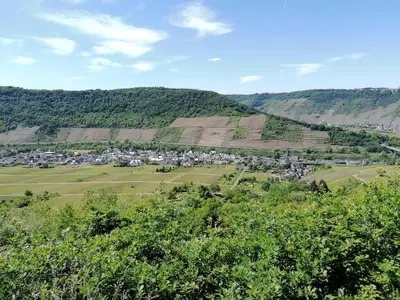 Naturlandschaft in der Nähe der Ferienwohnung